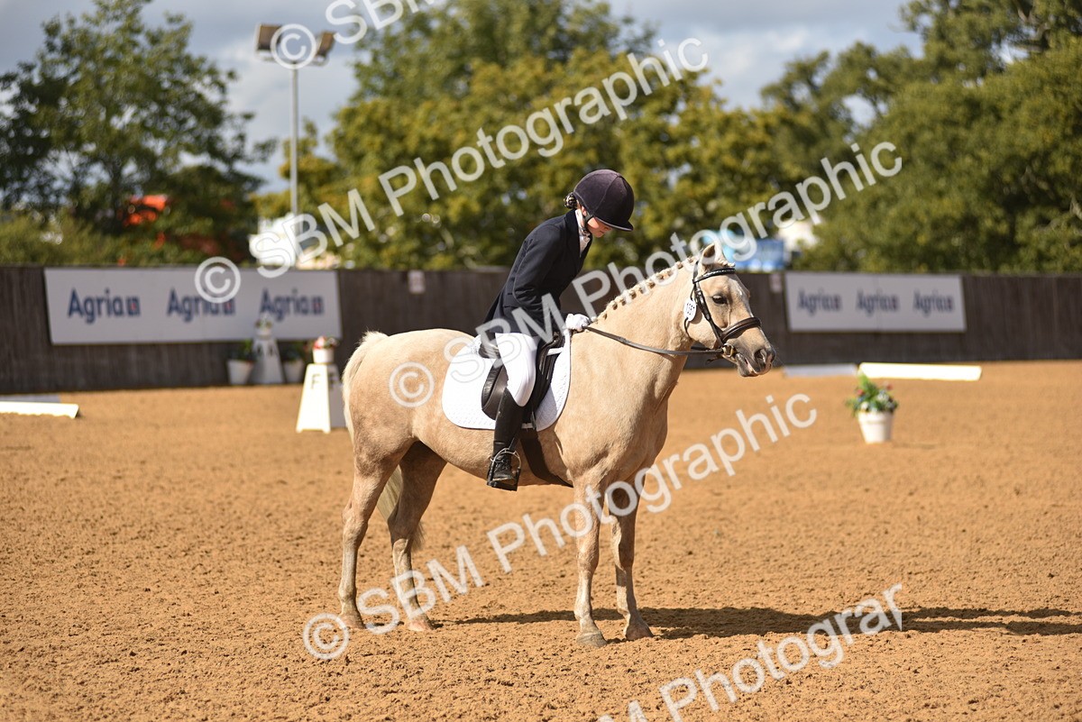 SBM_48781 - D22 - Junior Championship Intro 3