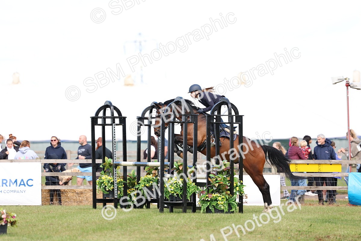 SBM_13494 - Class 206 - Senior Newcomers - 1.10m Open