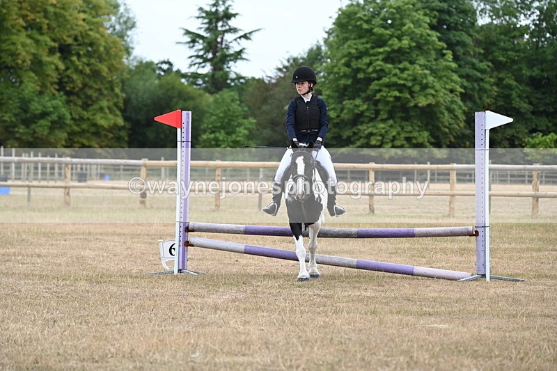 WJ6_0316 - Class 13 Novice Jumping 60cm