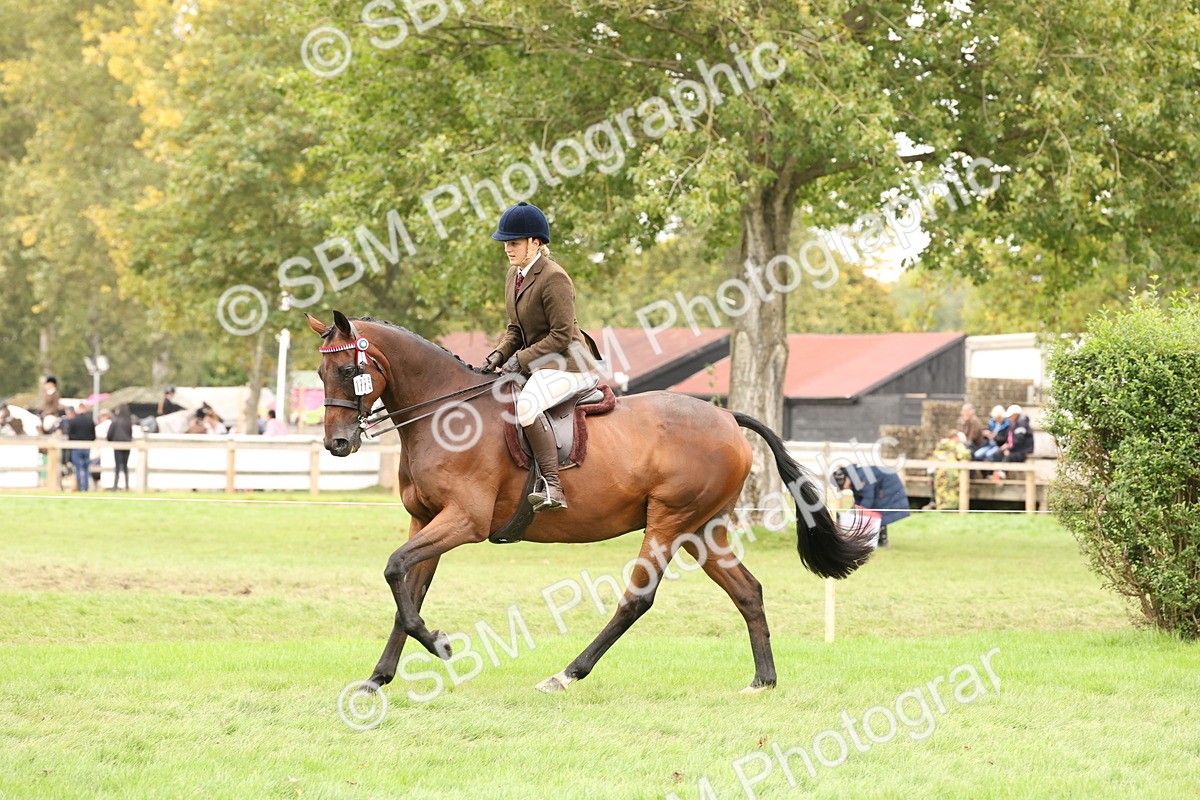 SBM_64240 - S65 - Riding Horse & Hack & Thoroughbred Ridden