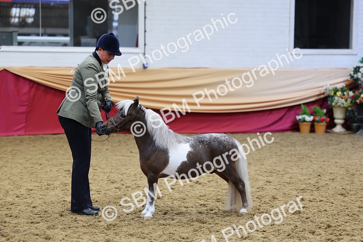 SBM_22891 - Class 903 - Supreme Final - IH Pre Vet