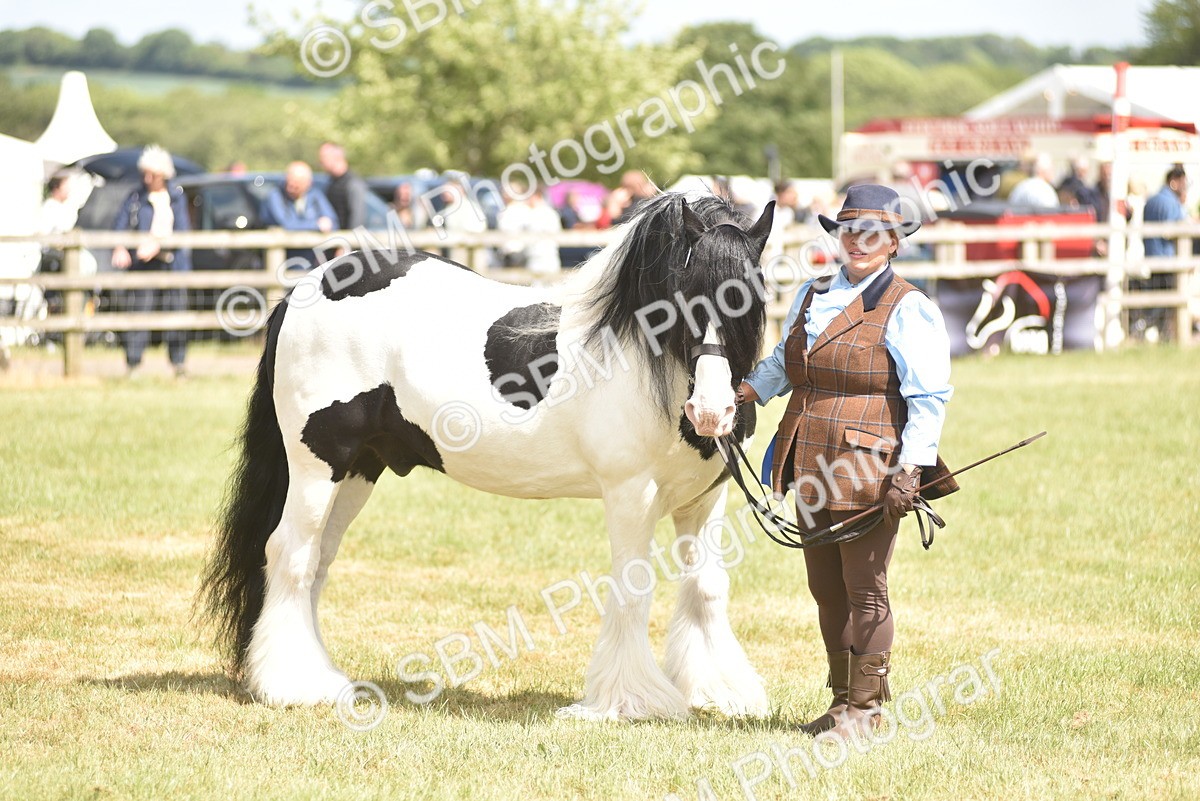 SBM_16127 - Class 117-122 - SSADL RIHS Qualifier