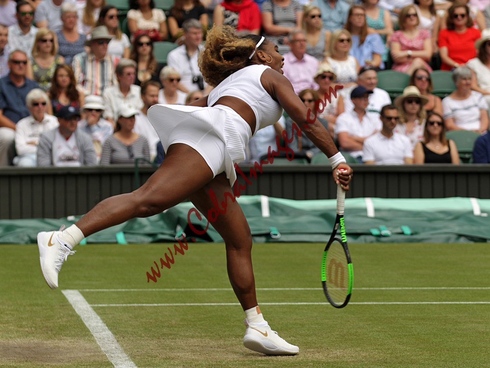 AF0I0009 - Wimbledon
