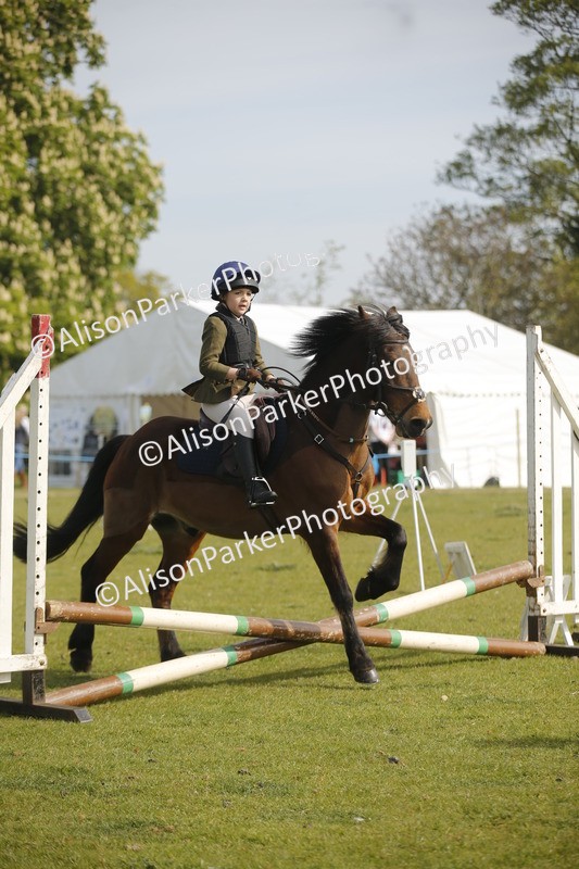 20260426-1102 - Class 1 - Mini Jumping - Lead rein or Assisted