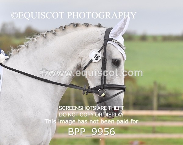 BPP_9956 - PRELIM 4 Q