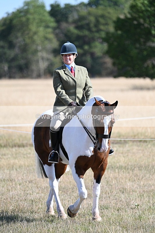 WJ7_3056 - Class 8 Ridden Tack & Turnout