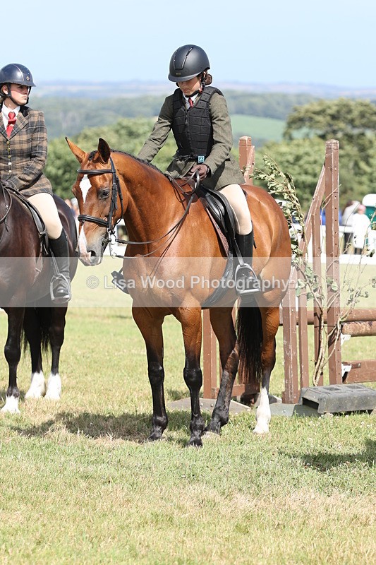 JPP_2434 - Class 19: Working Hunter 60cm