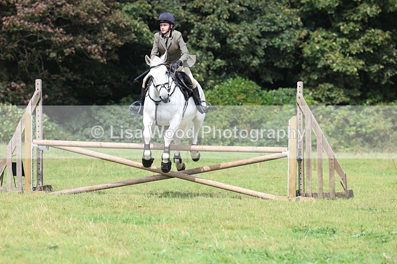 3E7A5965 - Class 28: 75cm Working Hunter