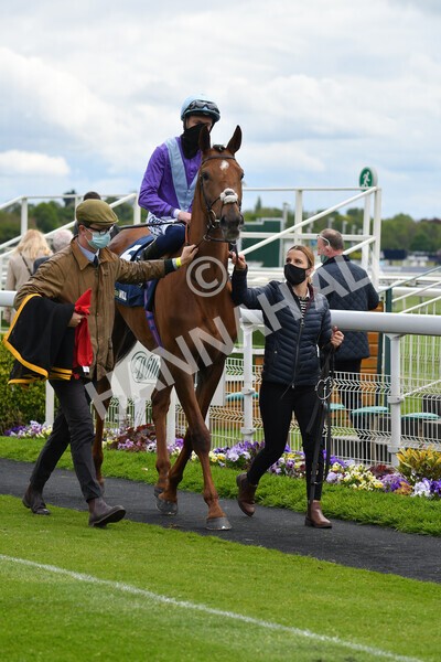 yr22052021r2-13 - Race 2 2.40pm William Hill Brontë Cup