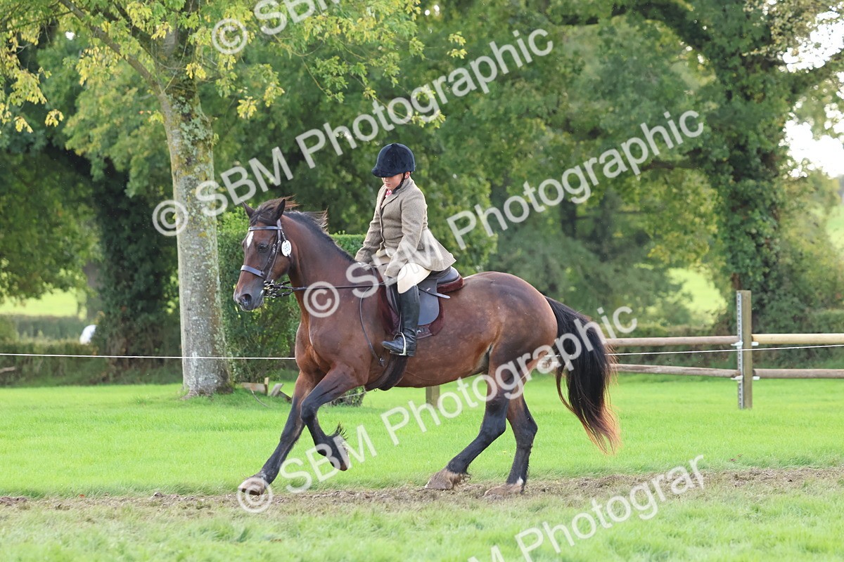 SBM_47696 - S28 - Veteran Ridden