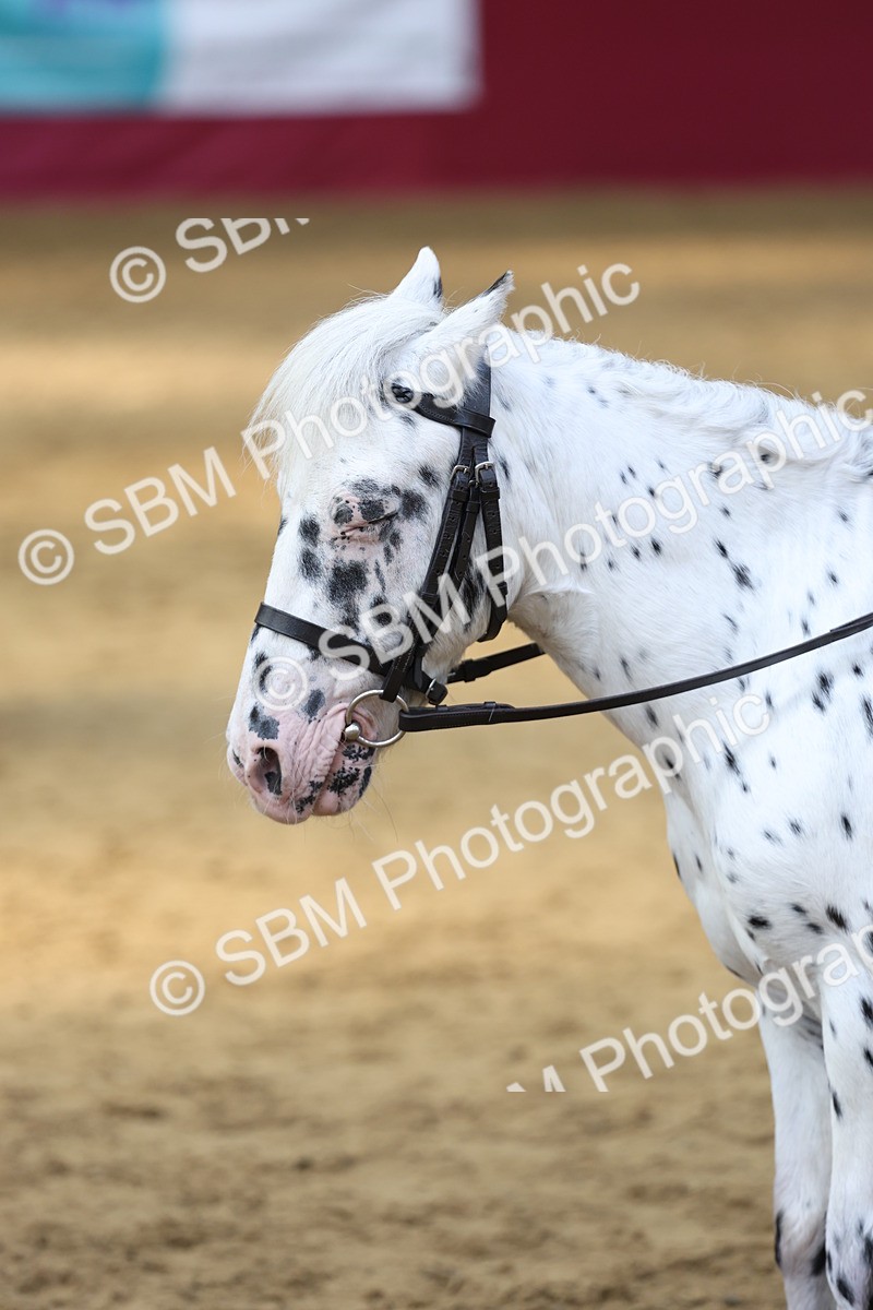 SBM_24105 - Class 905 - Supreme Final - Ridden Veteran