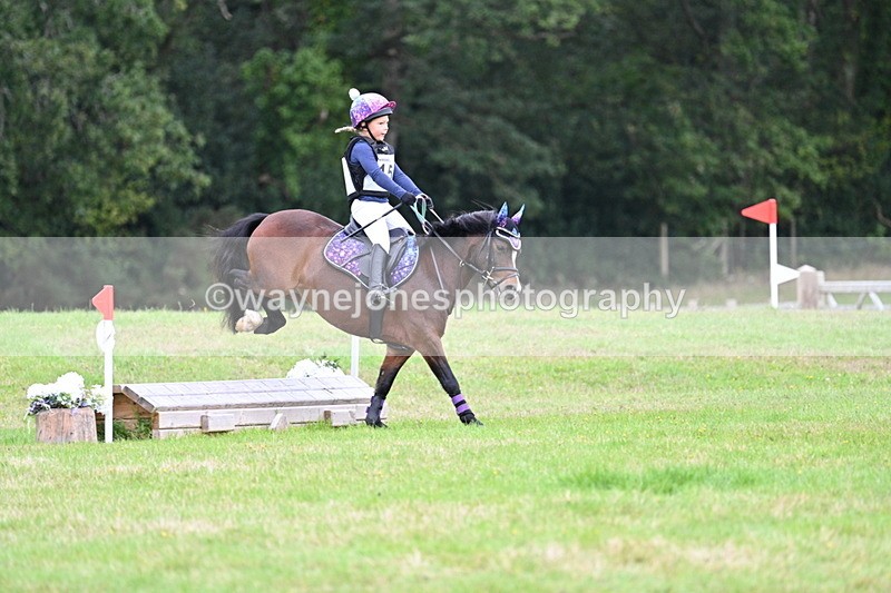 WJ7_7382 - 40cm Time 10:06 to 10:24