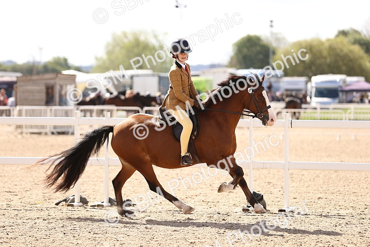 SBM_12880 - Class 409 - Grassroots Ridden - Pony