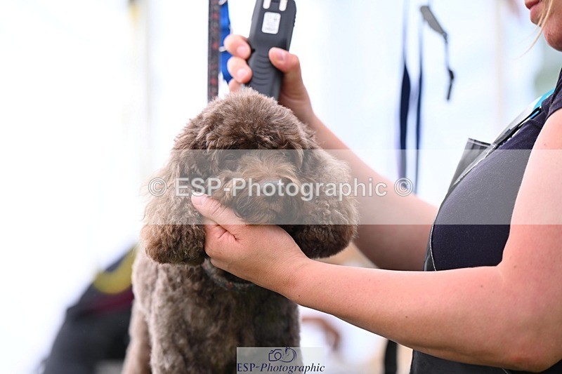 240525-114655-12615 - Candid and Saturday Hobby Horse