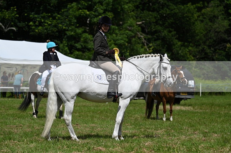 WJ7_1816 - Class 9 Pony Club Pony