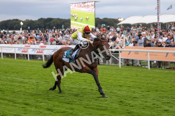 280723-Race 7-Knebworth-3018 - Race 7 8.20pm Sky Bet Go-Racing-In-Yorkshire Summer Festival Handicap