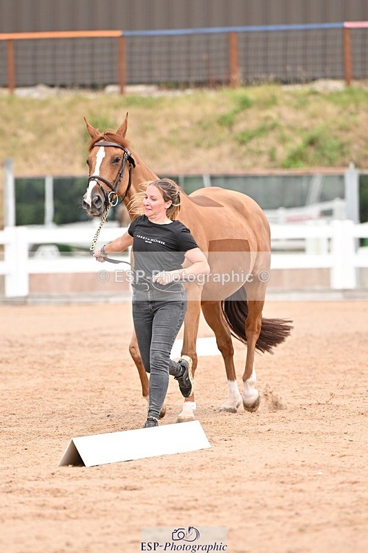 250716-153919-02076 - Trot Up 3.30 to 4.30