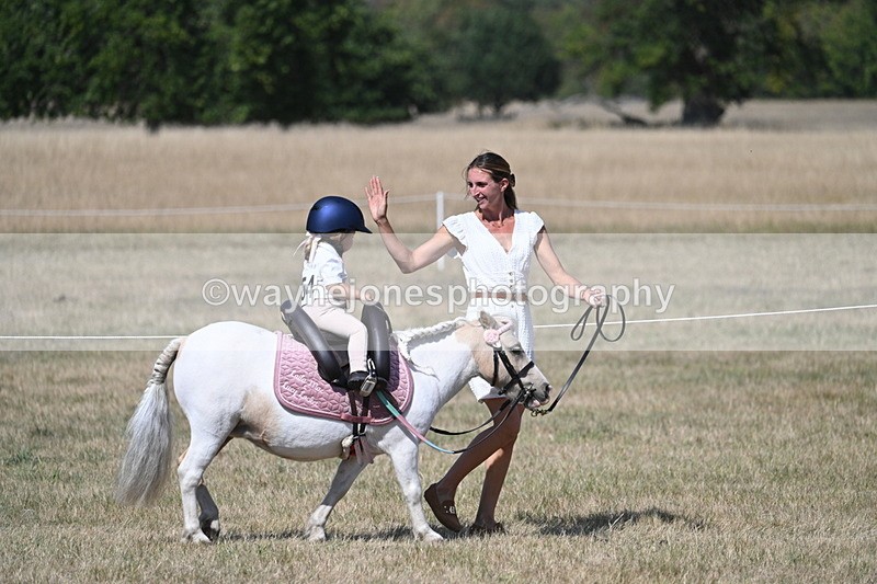 WJ7_1242 - Class 41 Prettiest Mare