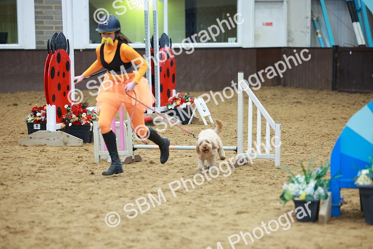 SBM_002348 - Class 3 - Horse & Hound (60cm)