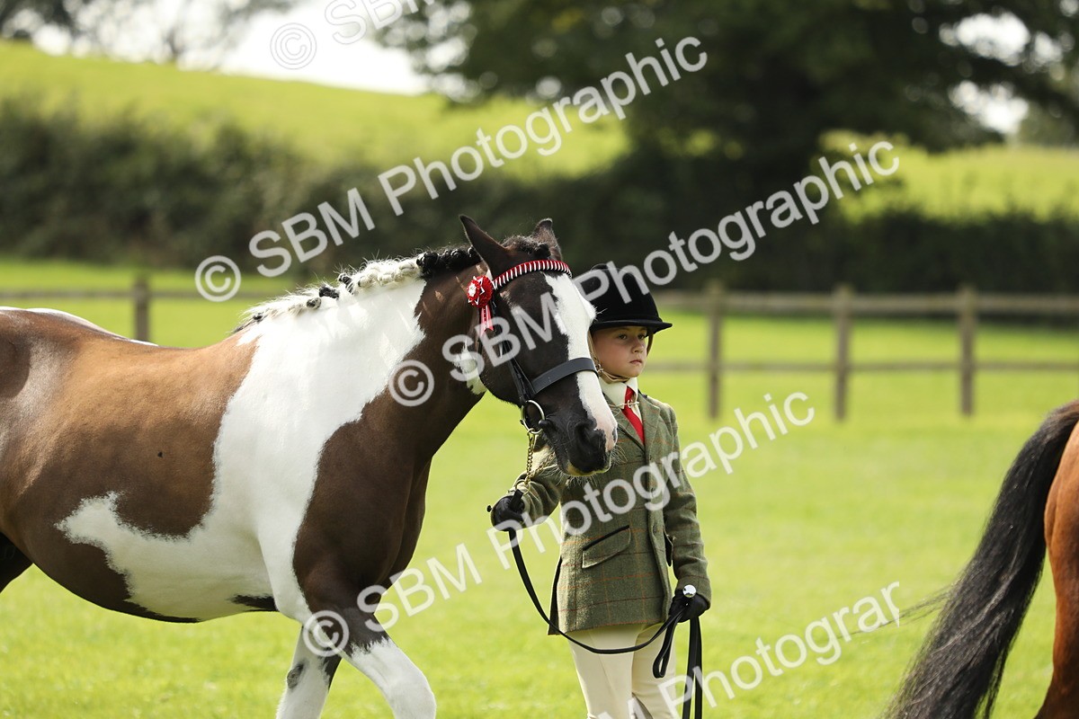 SBM_67699 - S39 - Junior Handler 8  Years & Under