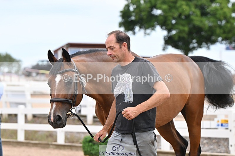 250716-160755-02432 - Trot Up 3.30 to 4.30