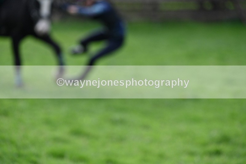 WJ7_8445 - Time 12:12 to 12:37