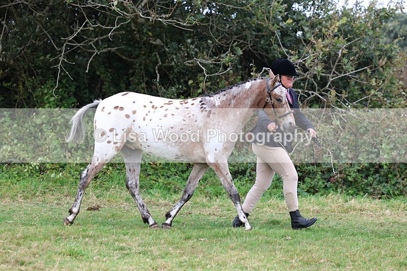 3E7A4070 - Class 15: Two Year Olds