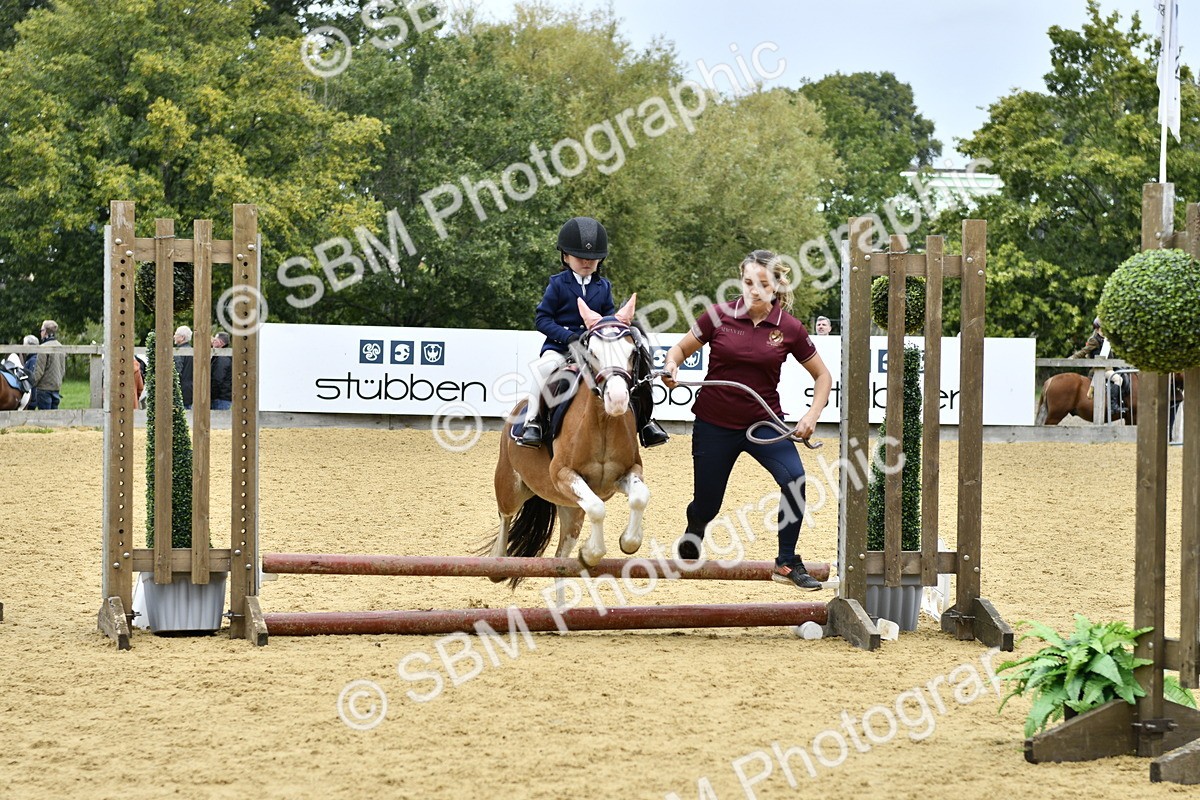 SBM_62775 - J1 - Mini Tour Junior Pony Lead Rein 30cm Championship
