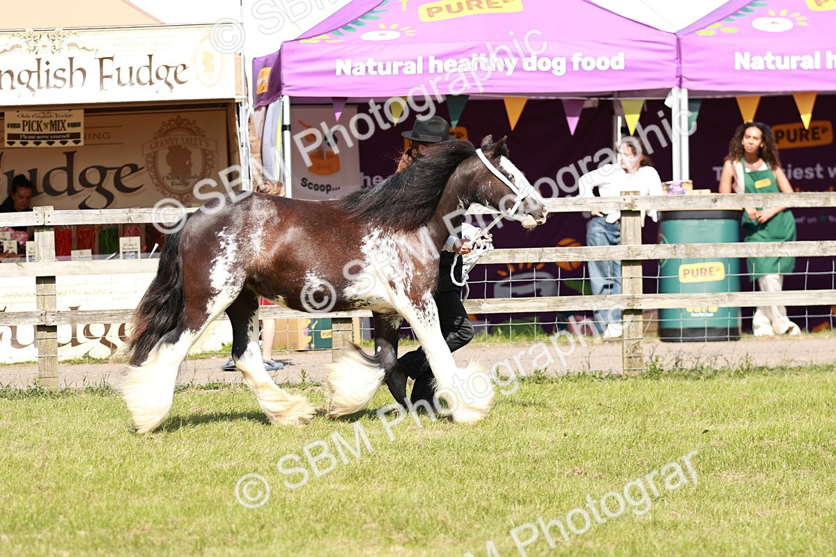 SBM_08549