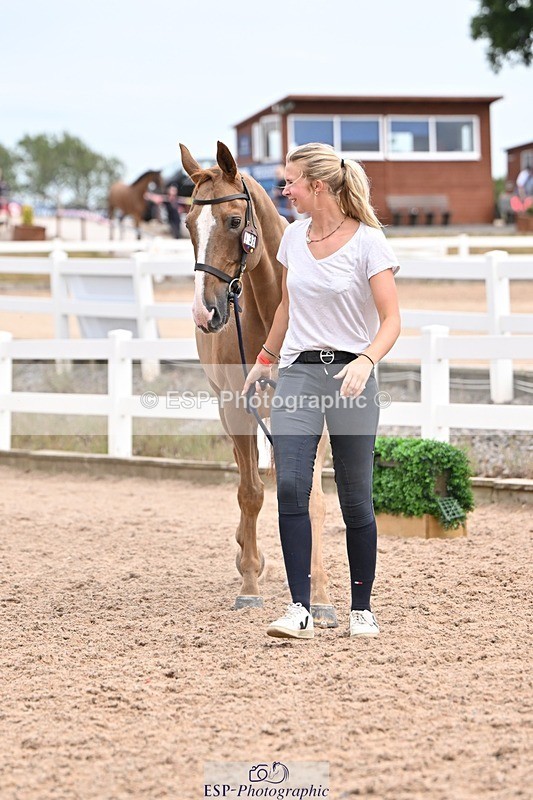 250716-153147-01981 - Trot Up 3.30 to 4.30