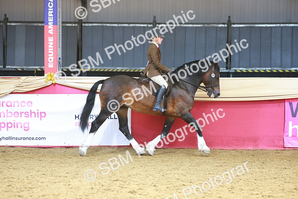 SBM_12431 - Class 103 - HOYS Veteran Qualifier - Ridden Pre Vet