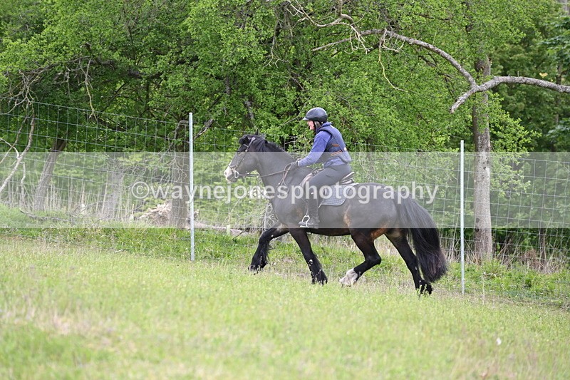 WJ6_1456 - Group 3 A&B Cameras