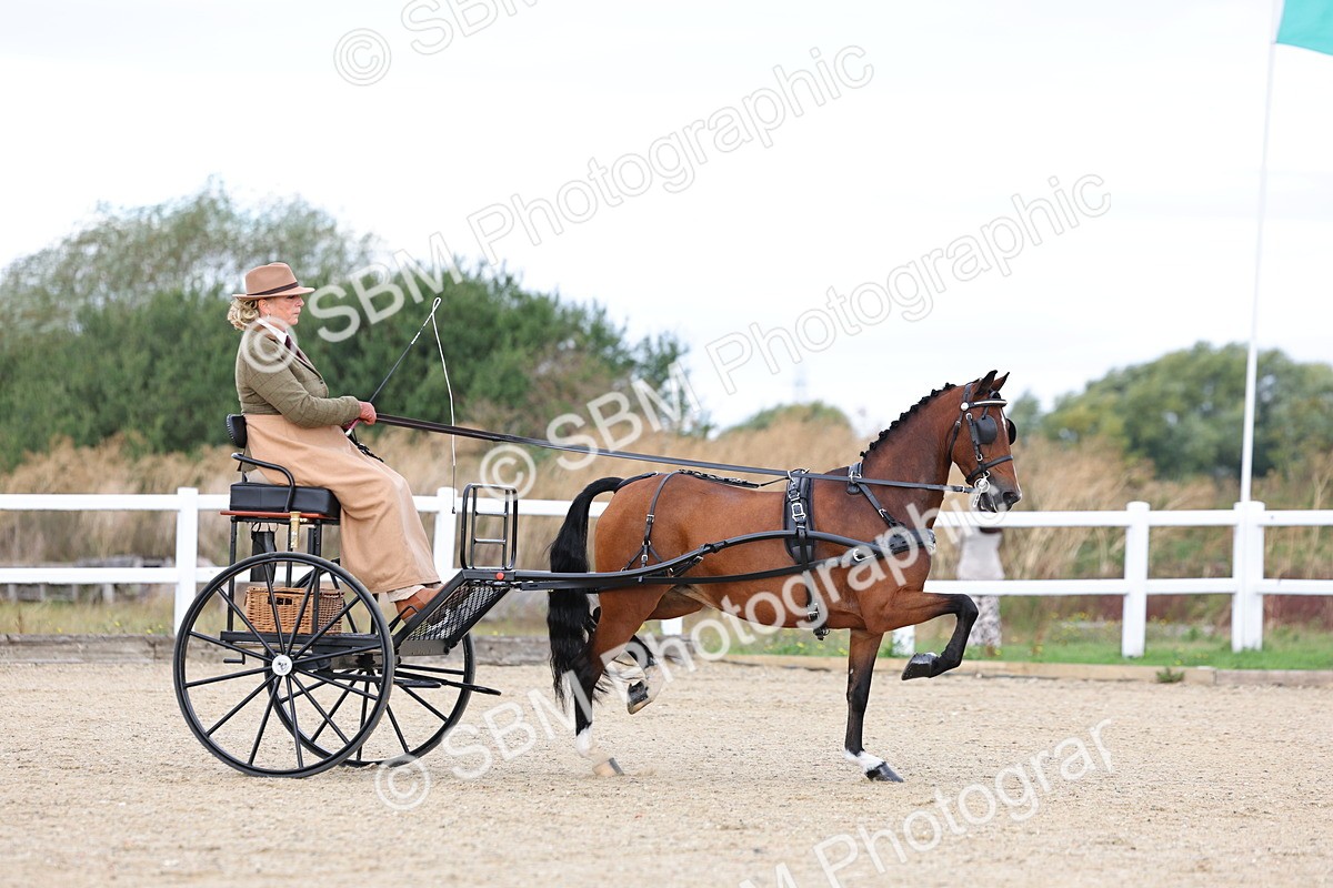 SBM_000261 - Class 2 - Exercise Vehicle 13.2hh & Under