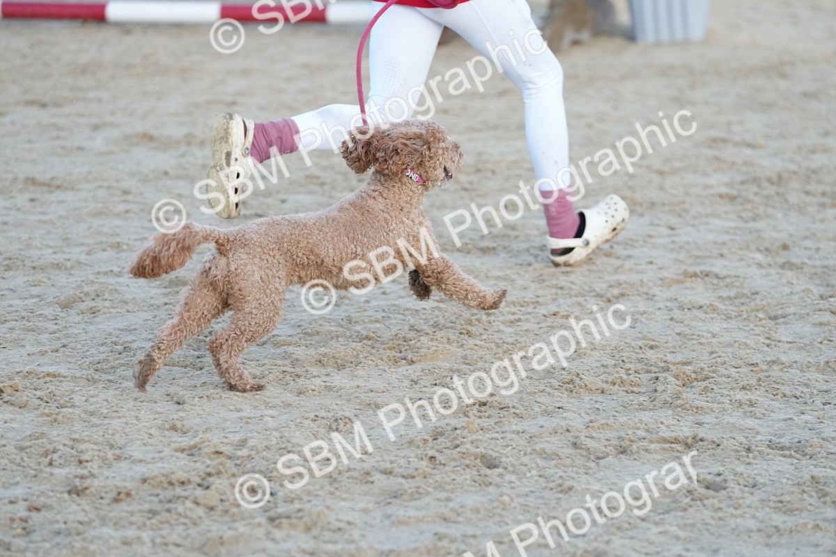 SBM_29488 - J44 - Horse & Hound Open 70cm