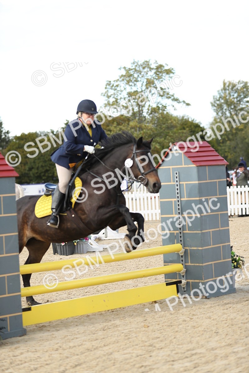 SBM_09951 - J36 - Veteran Rider 70cm