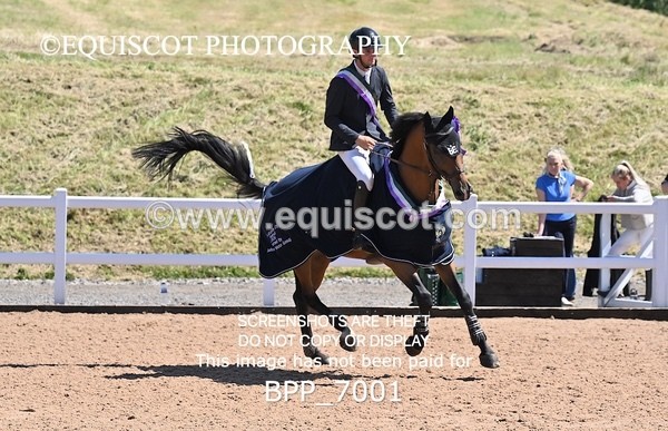 BPP_7001 - CLASS 13 FRI HOYS Talent Seeker Qualifier Inc 7 Year Old Horse Championship Qualifier