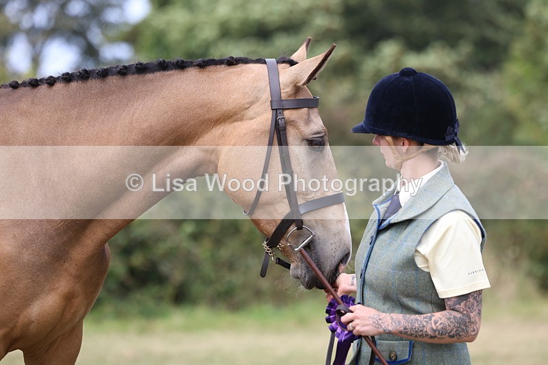 3E7A5613 - Class 20: Sports Horse In Hand