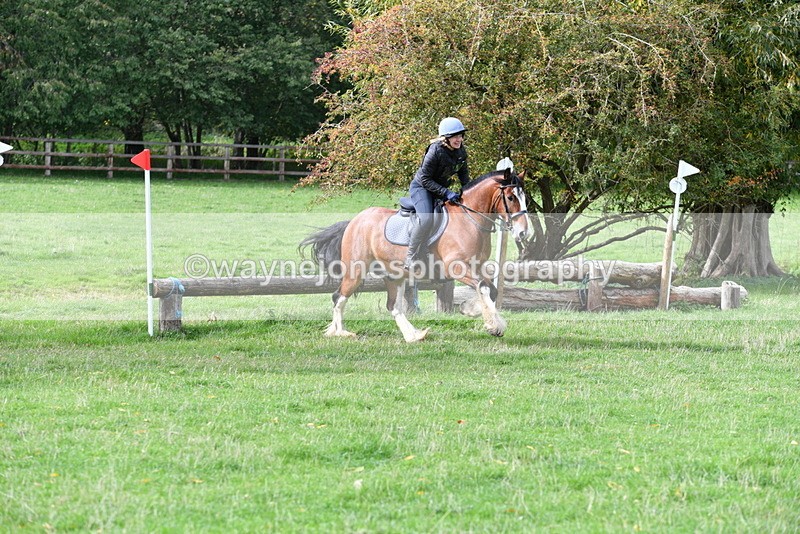 WJ5_9425 - Time 13:03 to 13:25