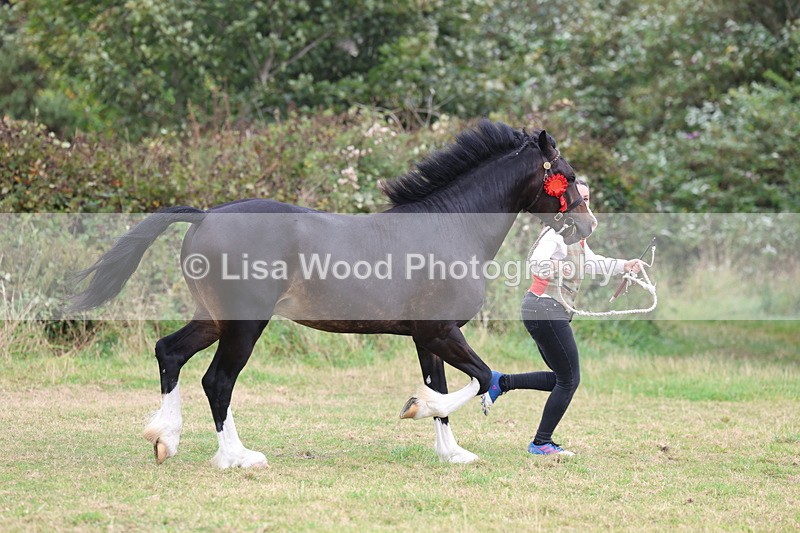 3E7A4278 - Class 15: Two Year Olds