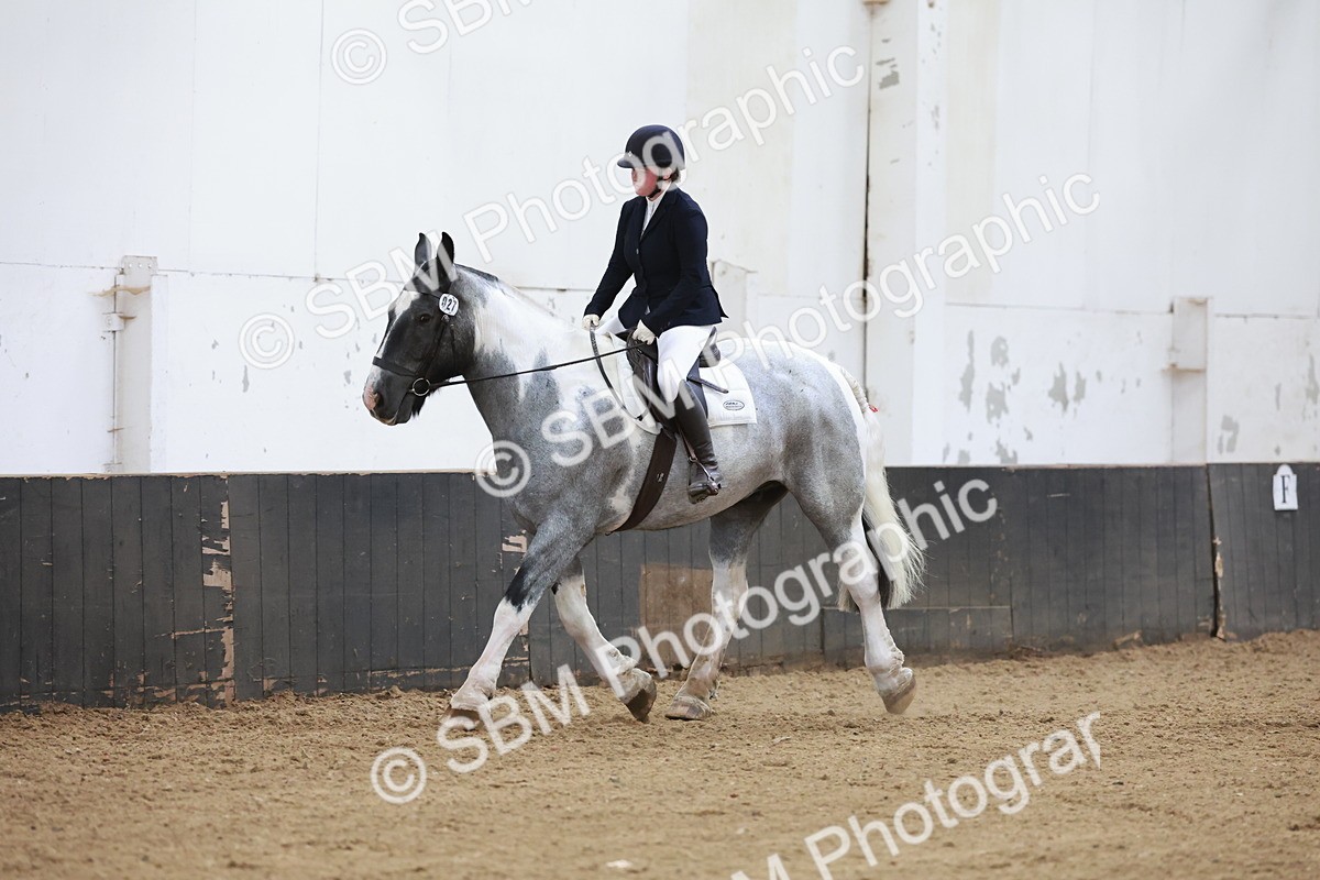 SBM_003923 - Prelim 2