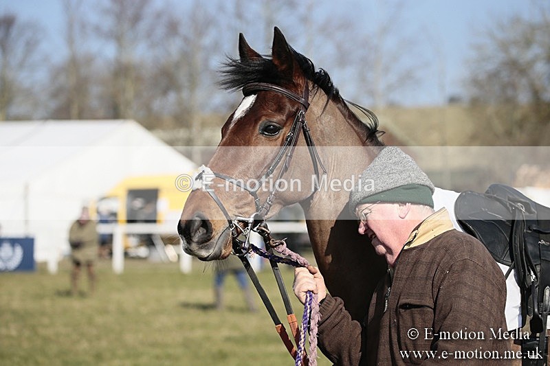 PtP 240218 124 - Vine & Craven Hunt Point-to-Point Barbury racecourse 24/02/18