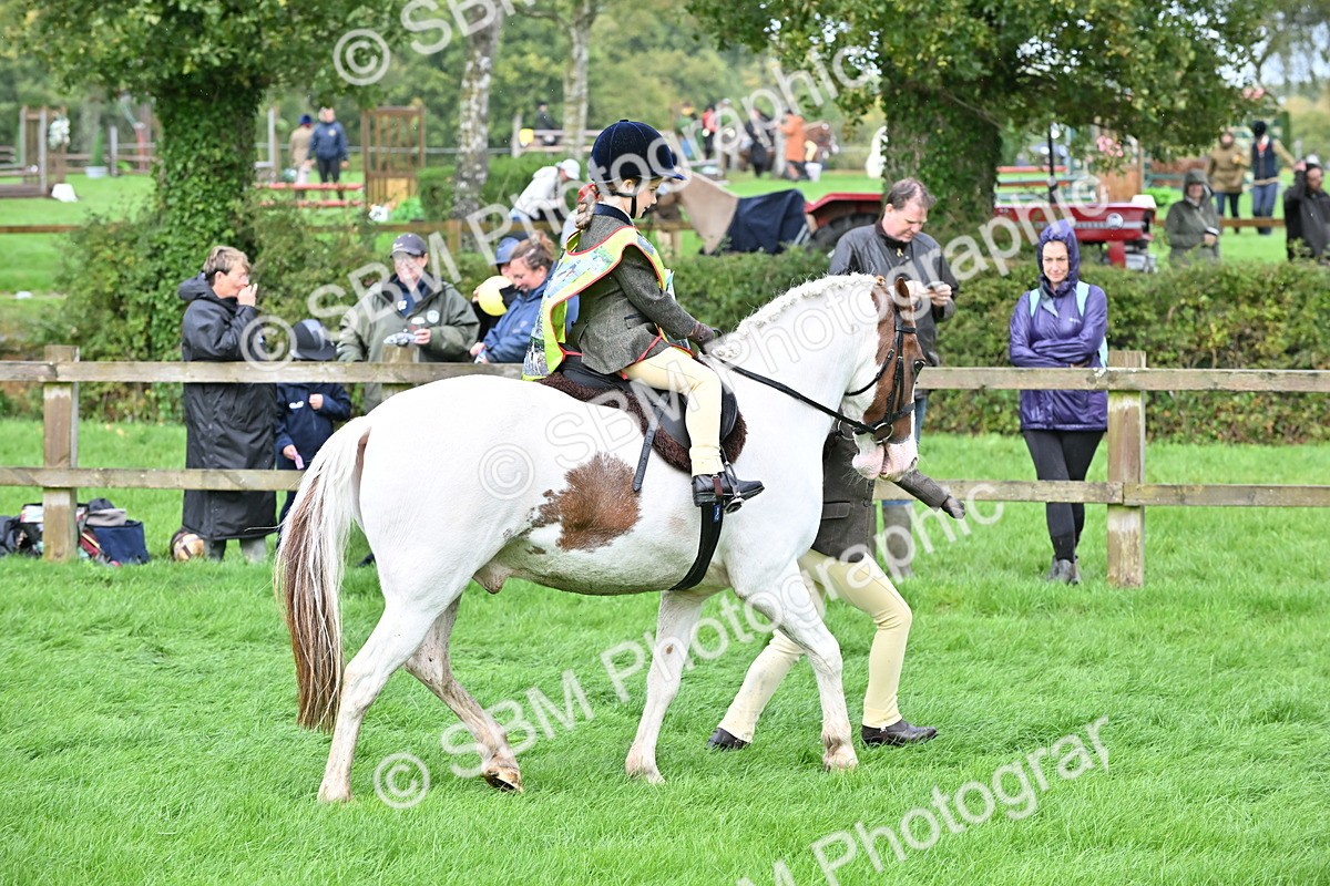 SBM_43054 - S12 - Family Horse & Pony