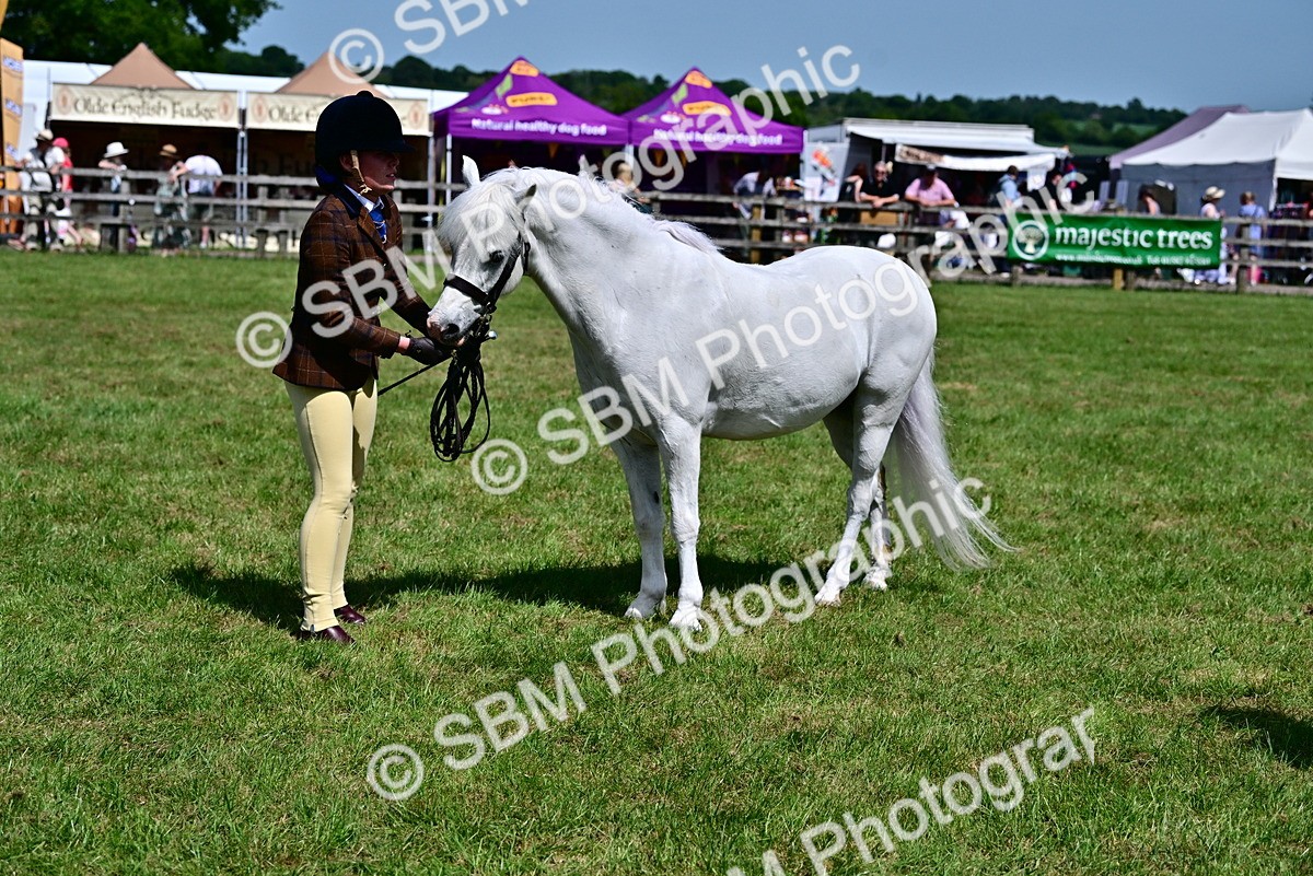 SBM_07810 - Class 61-62 - TSR  M&M Ridden Amateur of the Year