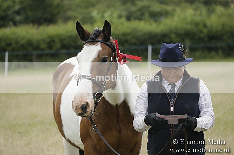B230619-0704 - Bourne Valley Riding Club Summer Show 23/06/19