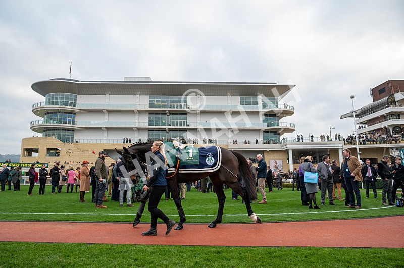 151124-Race 4-GVs-8533 - Race 4