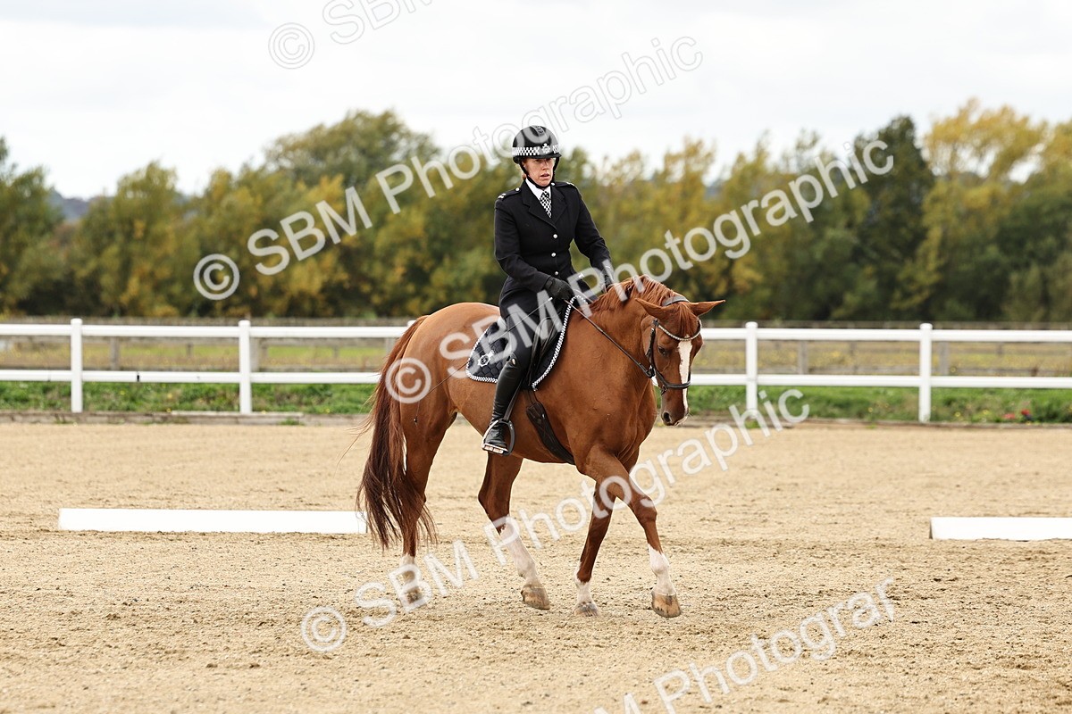 SBM_004573 - Class 69 - Novice 2