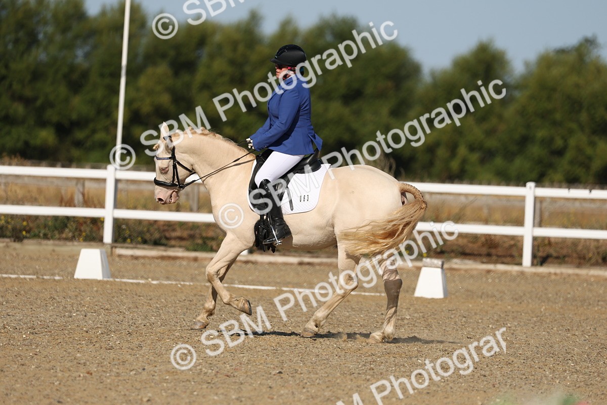 SBM_012705 - Class 1 - P5 Bronze 9.00.10.12