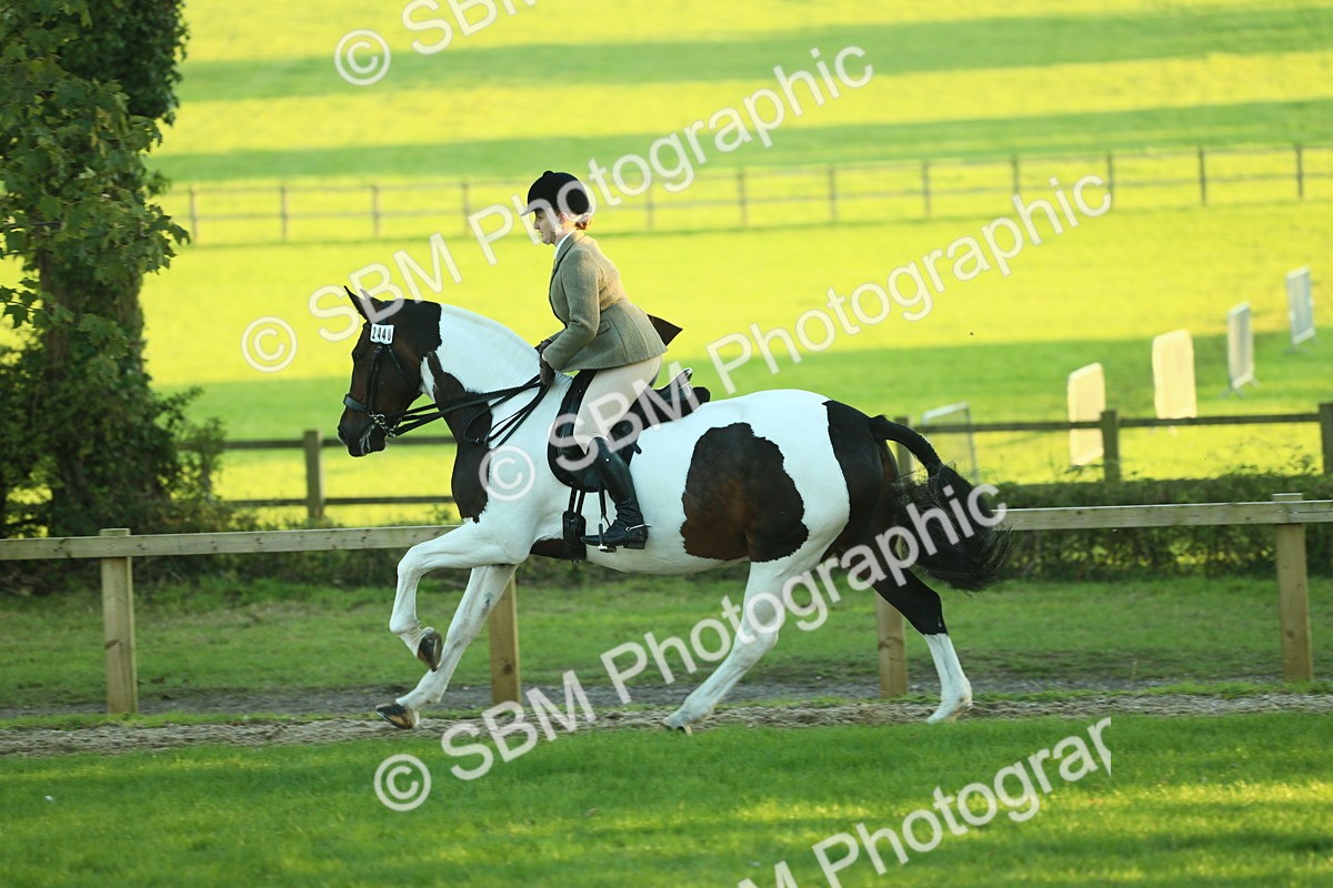 SBM_56504 - S14 - Riding Club Horse