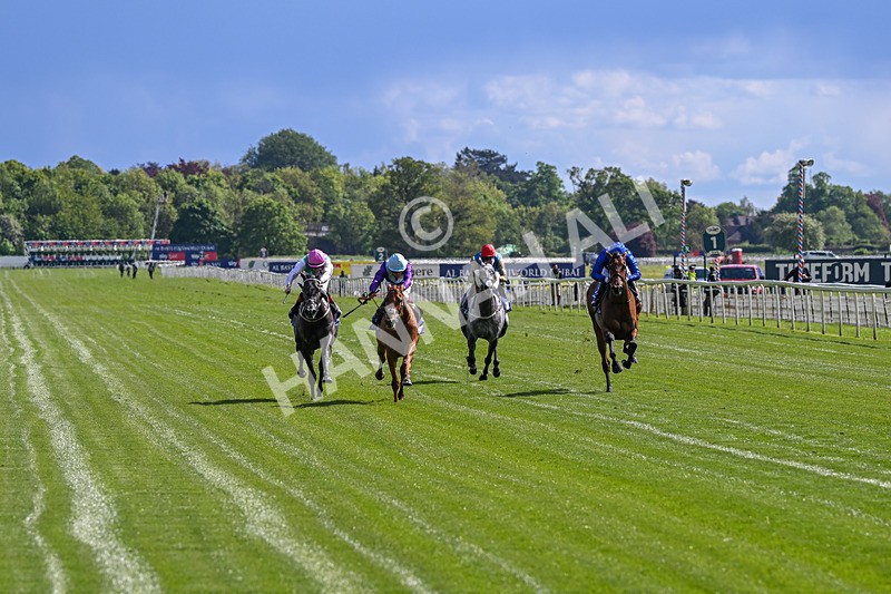 140526-Race 4-See The Fire-5122 - Race 4 3.30pm Al Basti Equiworld Dubai Middleton Fillies' Stakes