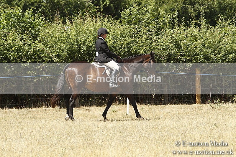 _BS_0708 - BVRC Show 2018 Ring 1